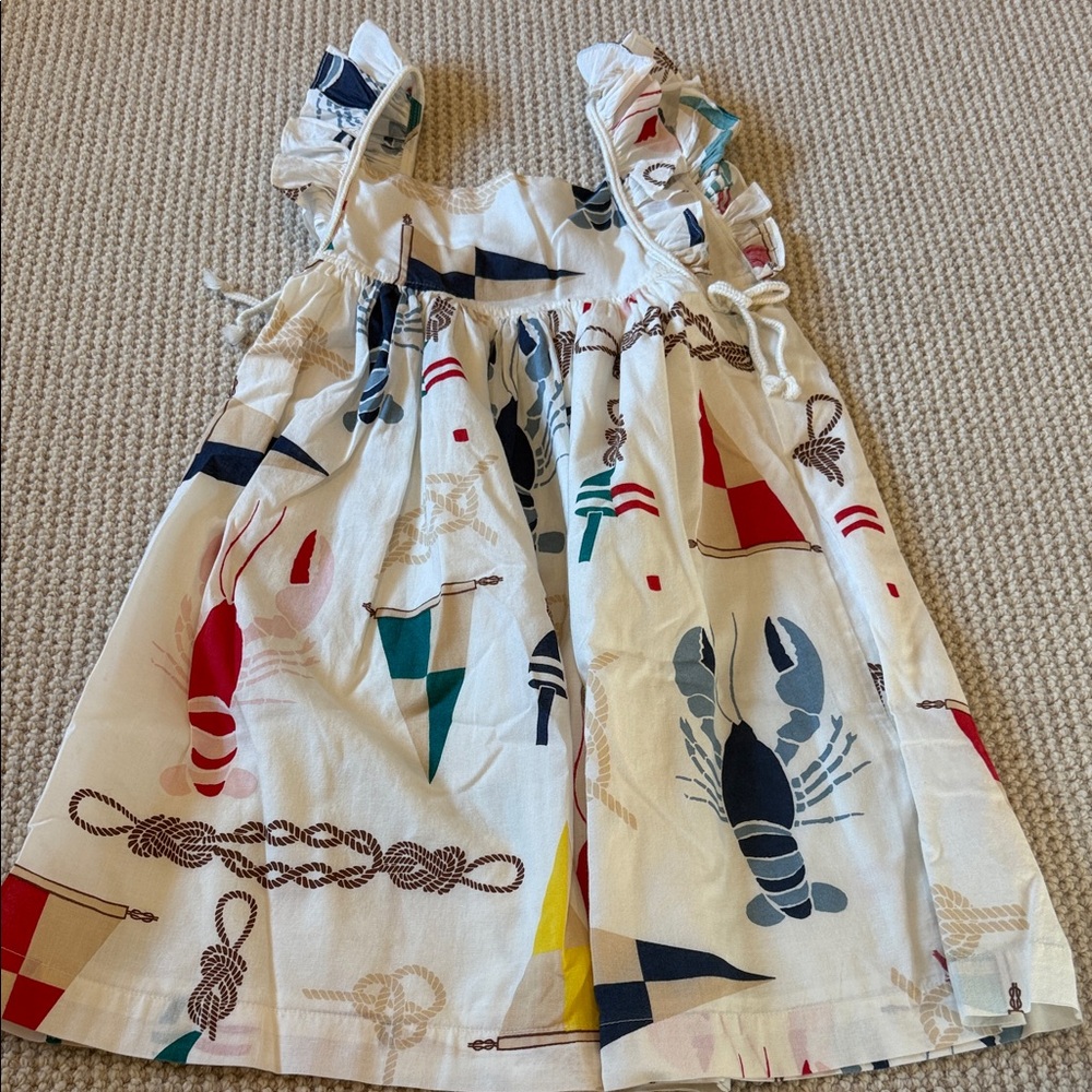 Pink Chicken Nautical Print Kids Dress